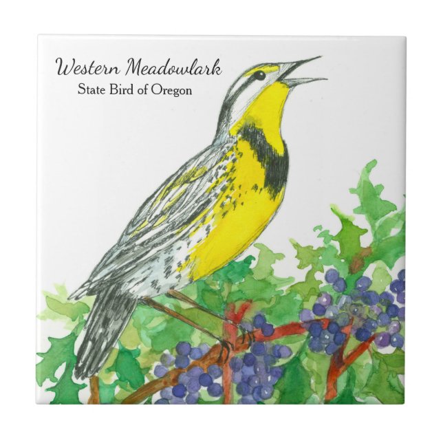 Oregon Souvenir Meadowlark Botanical Tile (Front)