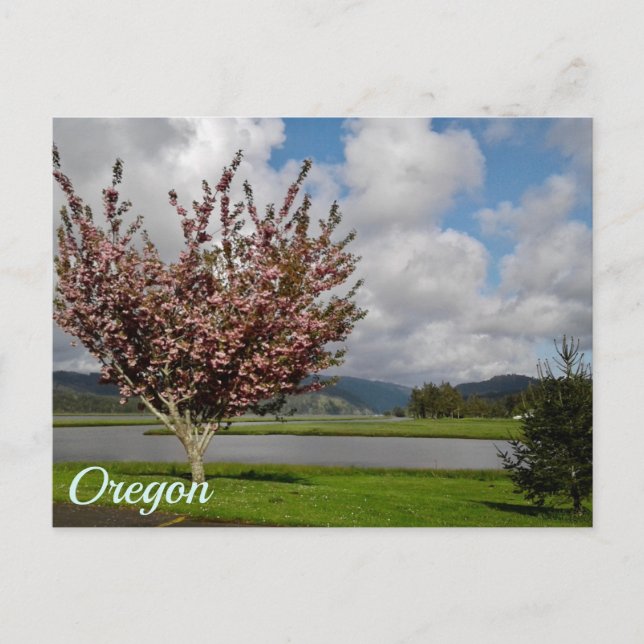 Oregon State Postcard (Front)