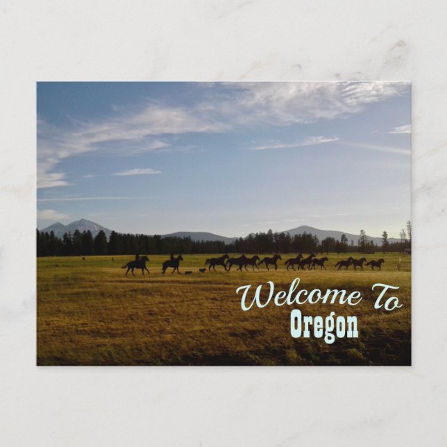 Oregon State Postcard (Front)