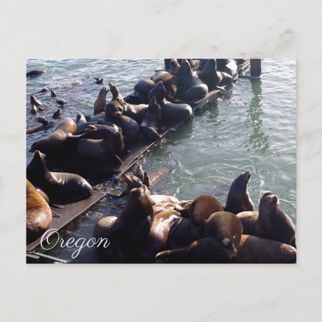 Oregon State Postcard (Front)