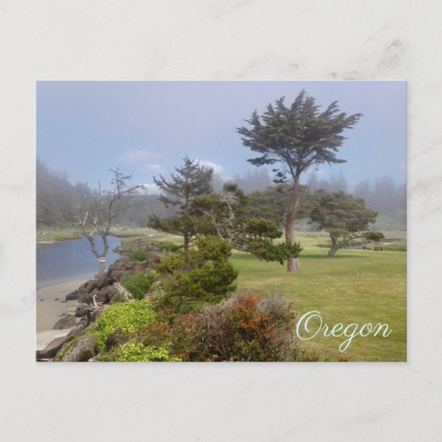 Oregon State Postcard (Front)