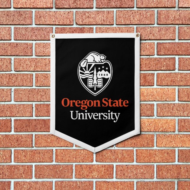 Oregon State University Pennant (Insitu 1)