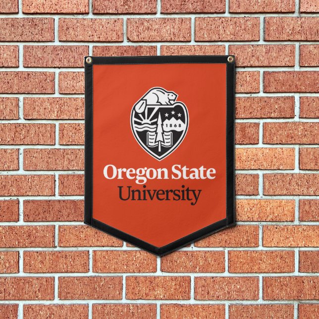 Oregon State University Pennant (Insitu 1)