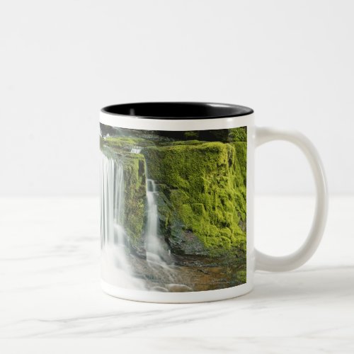 Oregon Waterfall in Willamette national Two_Tone Coffee Mug