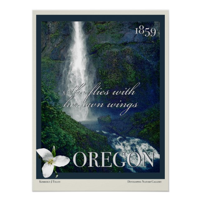 Oregon Waterfall Poster (Front)