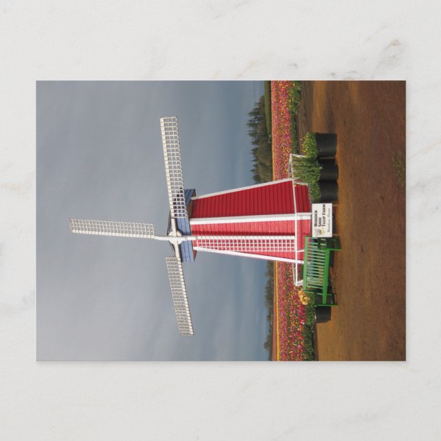 Oregon Windmill Post Card (Front)