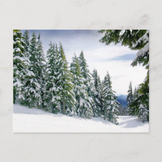 Oregon Winter Postcard