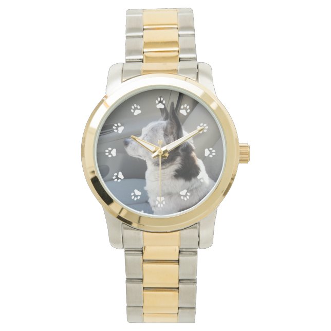 Oreo Colored Chihuahua Watch (Front)