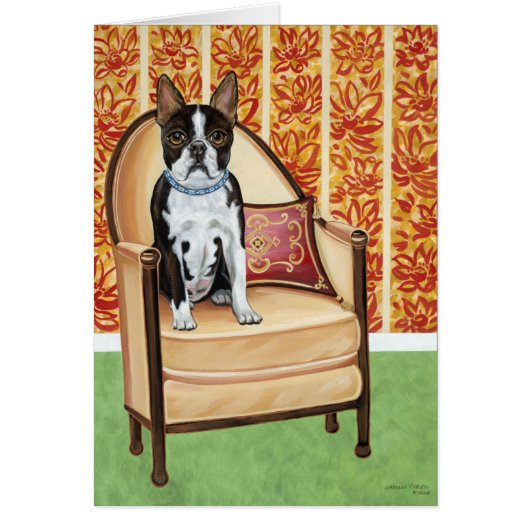 Oreo Cookie Boston (Front)