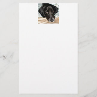 Oreo the English Springer Spaniel Dog Stationery