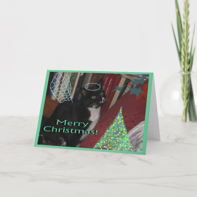 Oreo the Sweet Wonder Cat Holiday Card (Front)