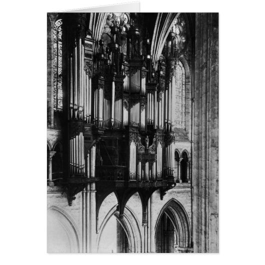 Organ Cards (Front)
