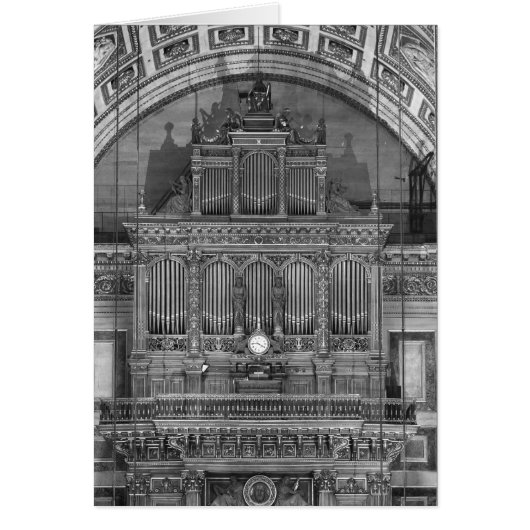 Organ Cards (Front)