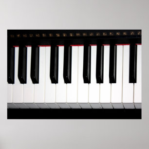 Organ Keyboard Poster