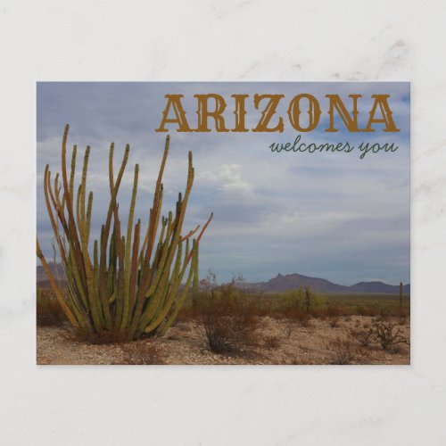 Organ Pipe Cactus National Monument Postcard