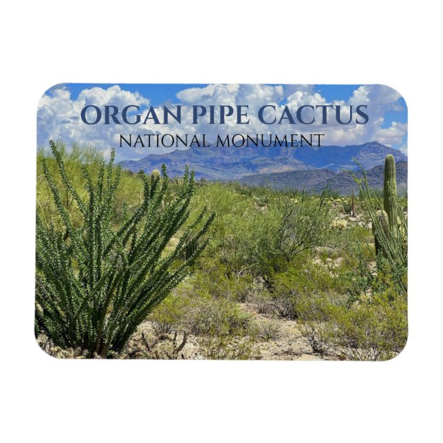 Organ Pipe Cactus, Ocotillo Shrub, Ajo Mountains Magnet (Horizontal)
