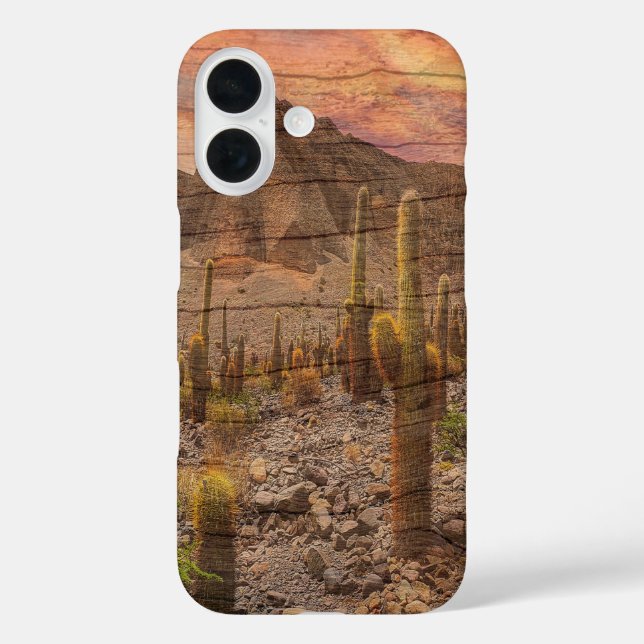 Organ Pipe Cactus On Wood Grain Sunset Photo Case-Mate iPhone Case (Back)