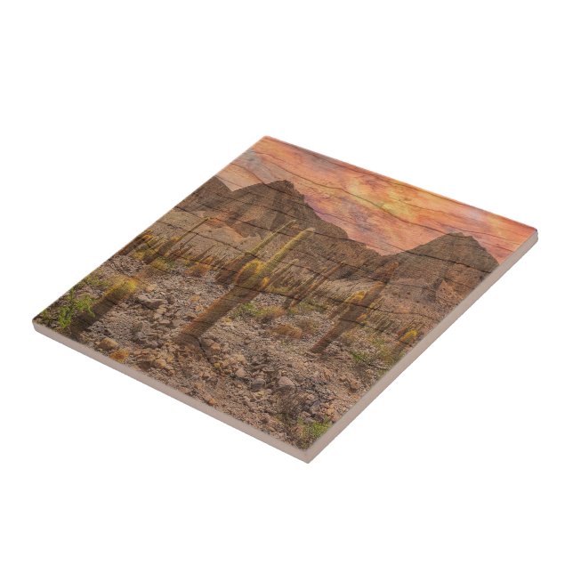 Organ Pipe Cactus On Wood Grain Sunset Photo Ceramic Tile (Side)