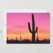 Organ Pipe National Monument (Front)