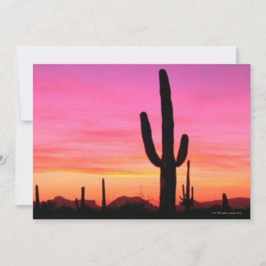 Organ Pipe National Monument (Front)