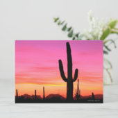 Organ Pipe National Monument (Standing Front)