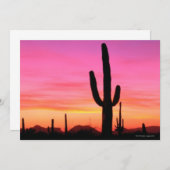 Organ Pipe National Monument (Front/Back)