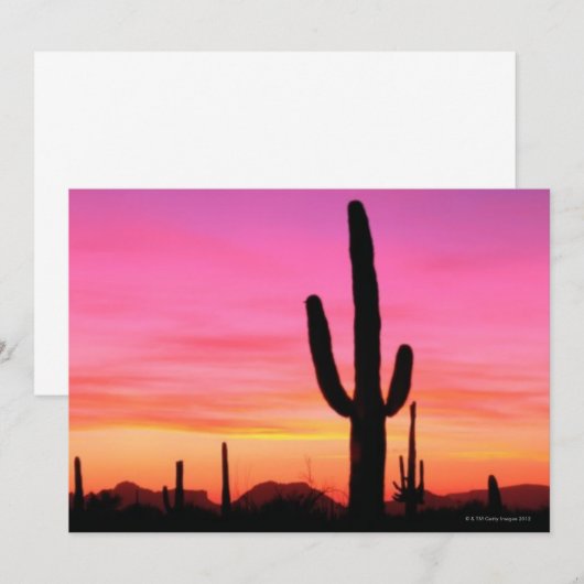 Organ Pipe National Monument (Front/Back)