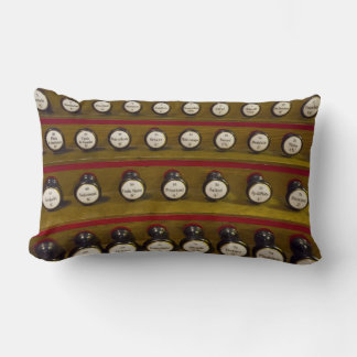 organ stops lumbar pillow