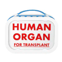 Human organ lunch bag on sale