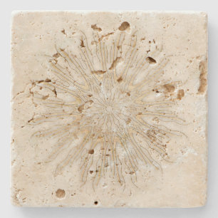 Organic boho style sunburst mandala golden white stone coaster