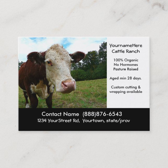 Organic Cattle Beef Ranch or Butcher Business Card (Front)