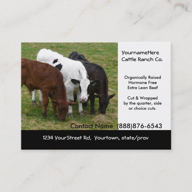 Organic Cattle Beef Ranch or Butcher Business Card (Front)