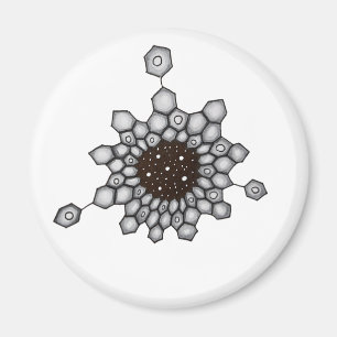 Organic Chemistry Aromatic Structure Space Stars Magnet