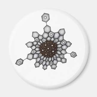 Organic Chemistry Aromatic Structure Space Stars Magnet