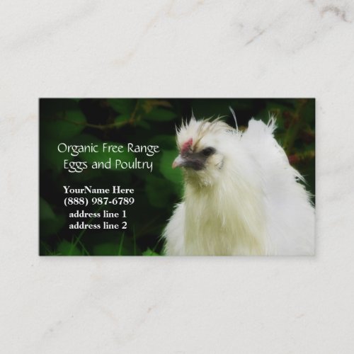 Organic Chickens and Eggs  Business Cards
