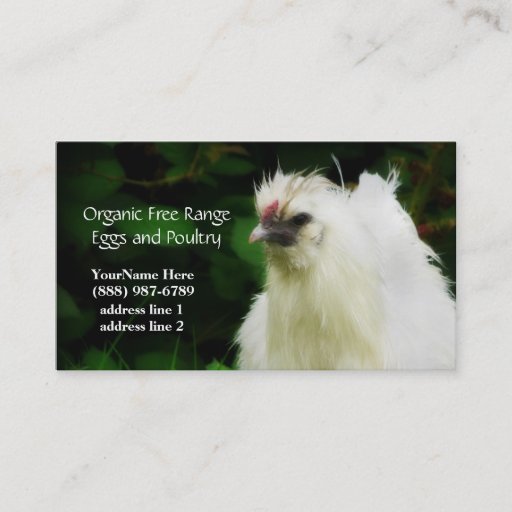 Customizable Organic Chickens and Eggs  Business Cards