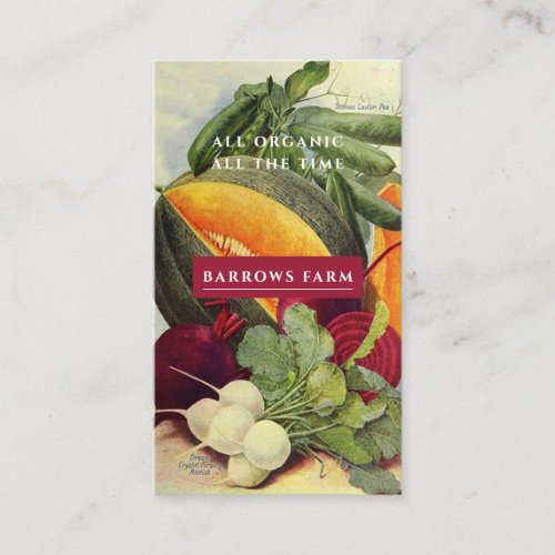 Organic Farm Vintage Seed Pack Vegetables Business Card