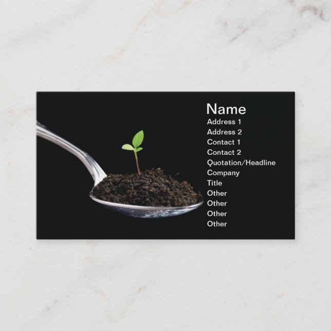 Organic food business card (Front)