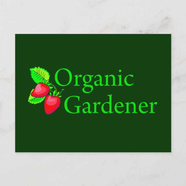 Organic Gardener - Strawberries Postcard (Front)