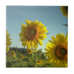 Organic Gardening Tile