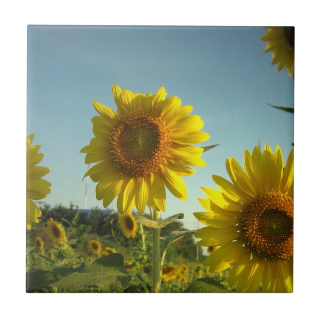 Organic Gardening Tile (Front)