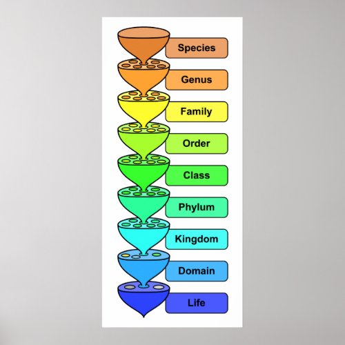 Organic Life Biological Classification Chart