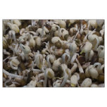 Organic Mung Sprouts – A Nutrient-Packed Superfood Fabric