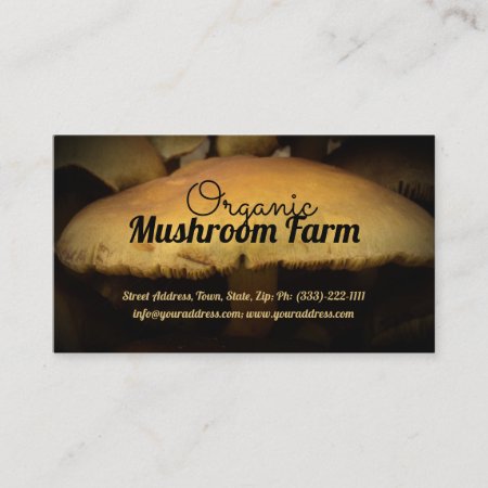 Organic Mushroom Farm Buying Selling Points Business Card