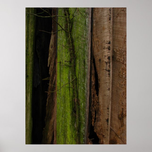 Organic Poster (Front)