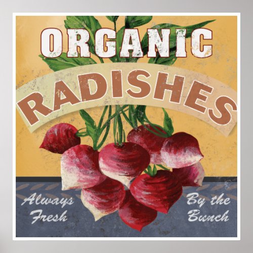 Organic Radishes Poster