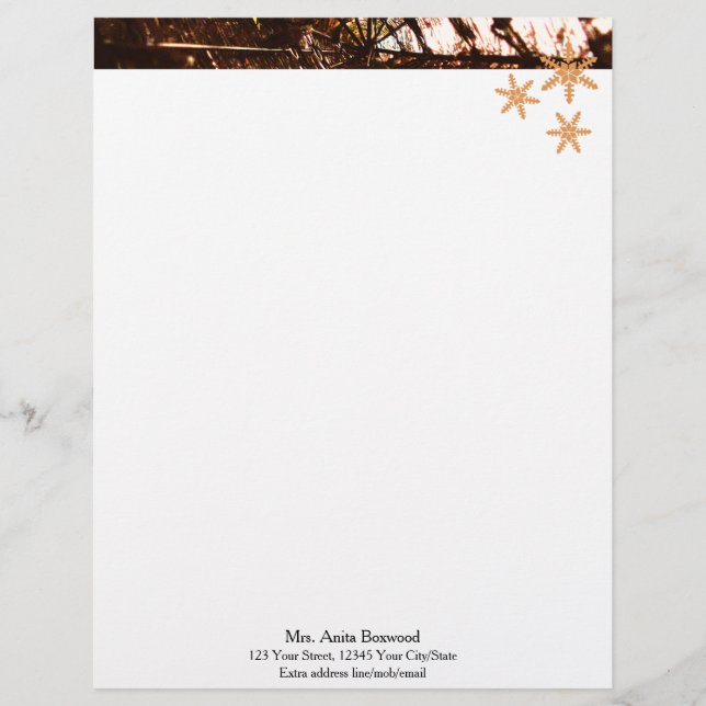 Organic Snowflakes Seasonal Christmas Letterhead (Front)