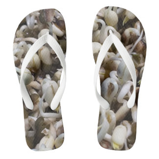 Organic Sprout Life Mung Bean Macro Photography He Flip Flops
