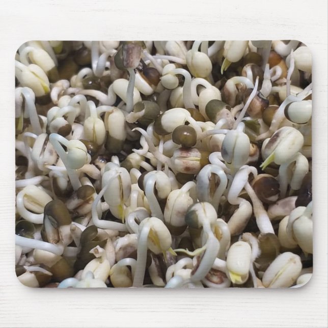 Organic Sprout Life Mung Bean Macro Photography He Mouse Pad (Front)