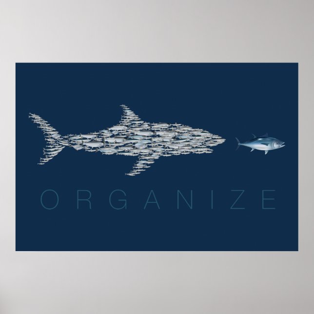 Organize Fish Poster (Front)